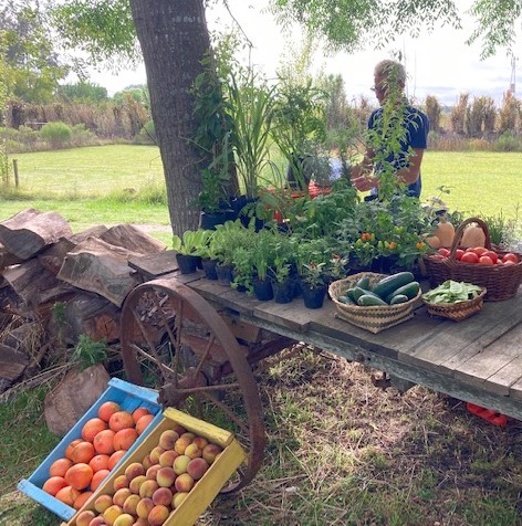 Slow Food y más en Colonia: sustentabilidad, gastronomía y arte