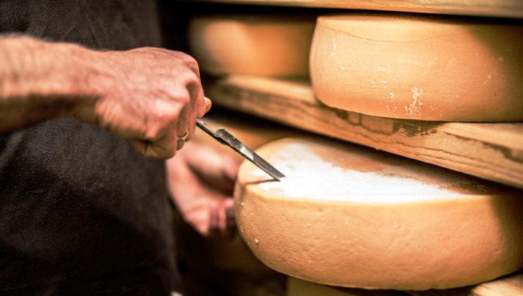 Slow Food y más en Colonia: sustentabilidad, gastronomía y arte