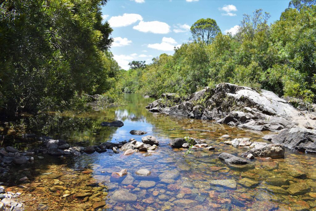 Las Taperas Chacras, paz y desconexión en contacto con la naturaleza 