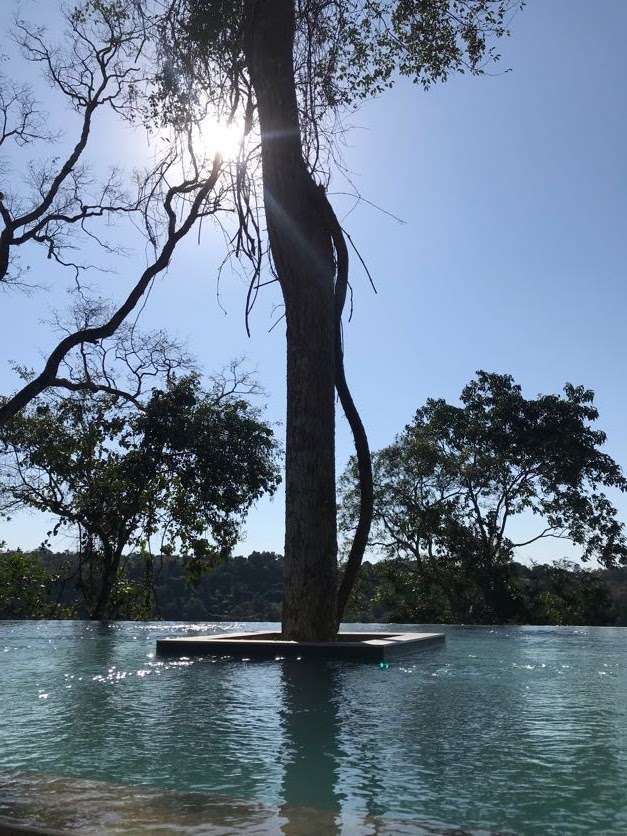 En el paraíso de siempre, pero con un nuevo espacio para Loi Suites Iguazú