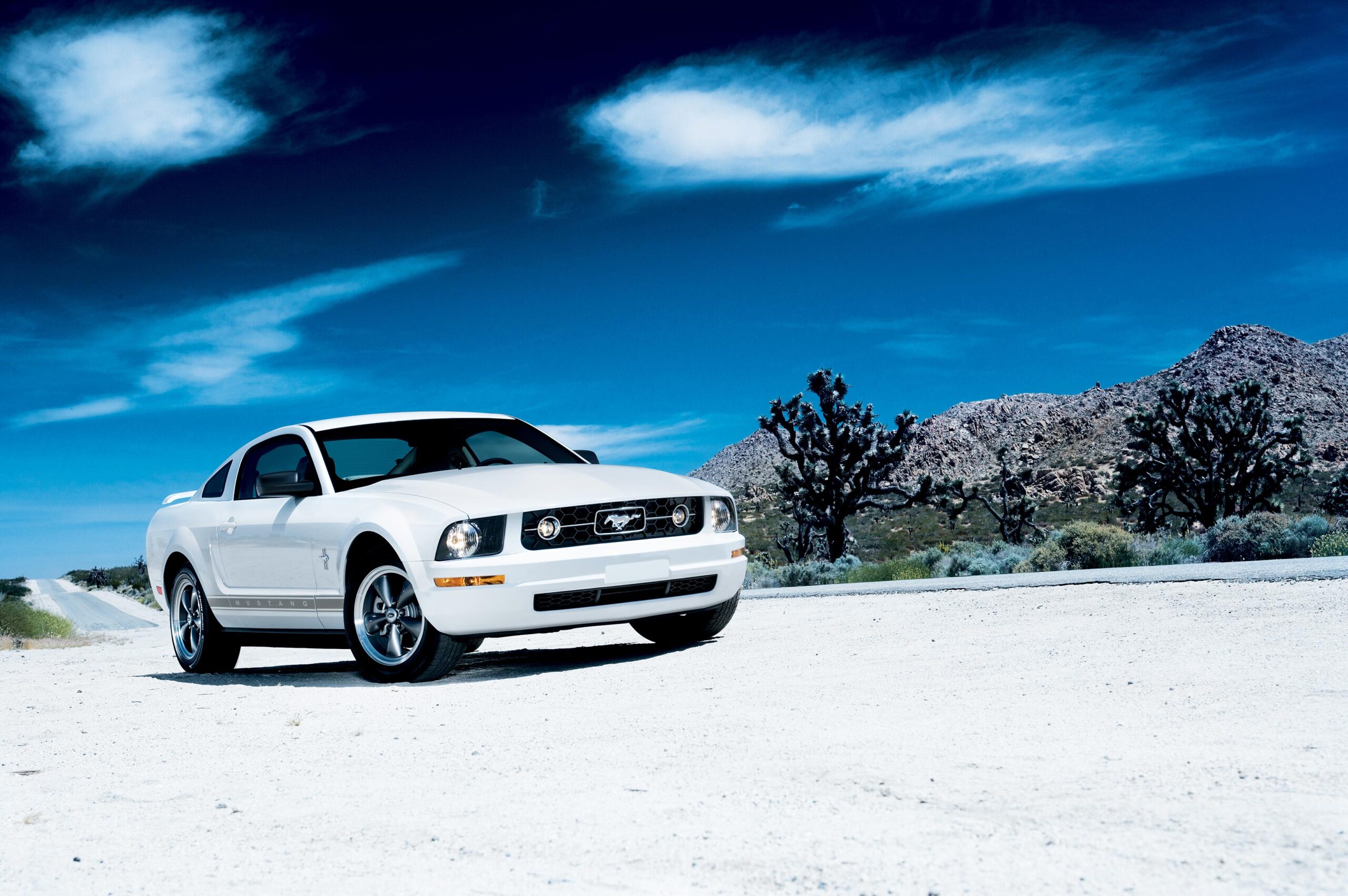 Ford Mustang celebra 60 Años de historia deportiva