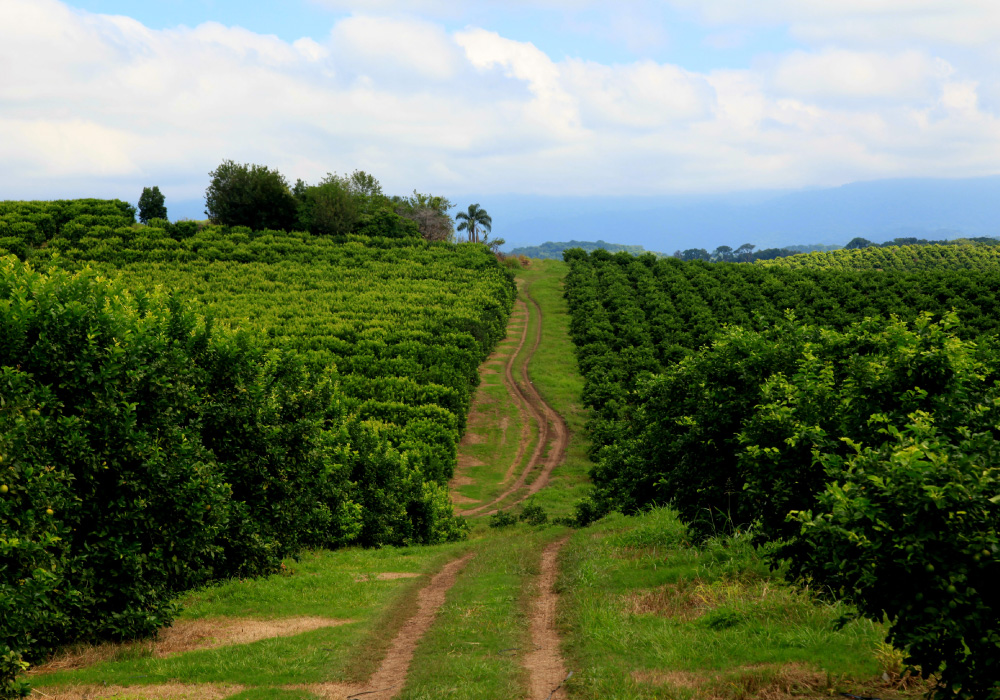 La Red Argentina de Reservas Naturales Privadas celebró 10 años