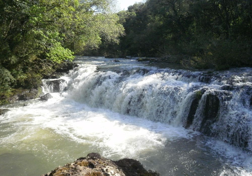 La Red Argentina de Reservas Naturales Privadas celebró 10 años