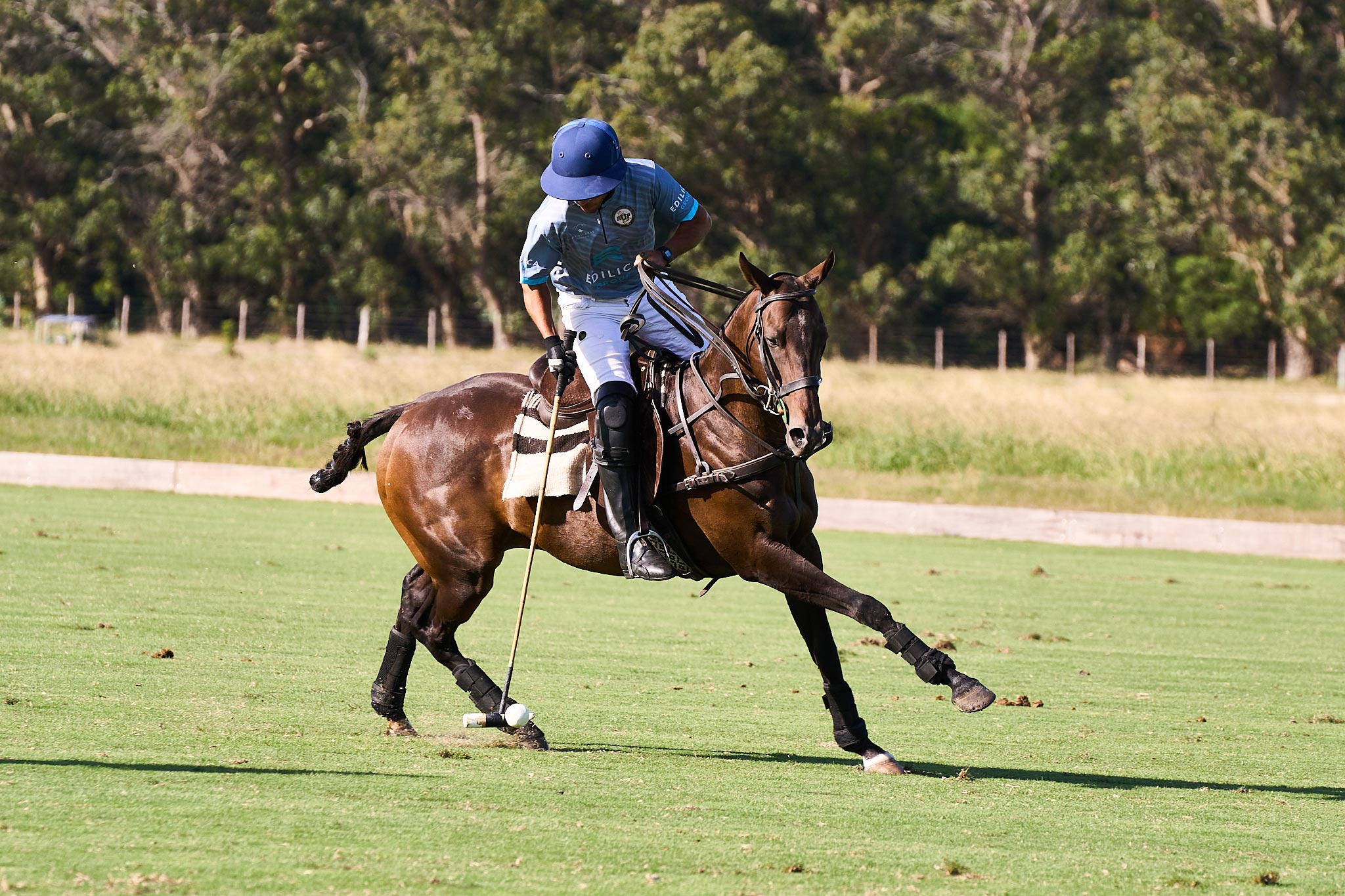 El mejor polo del mundo llega a Punta del Este